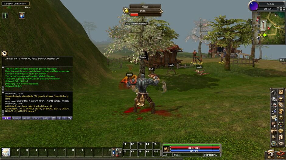 Dekaron screenshot 8
