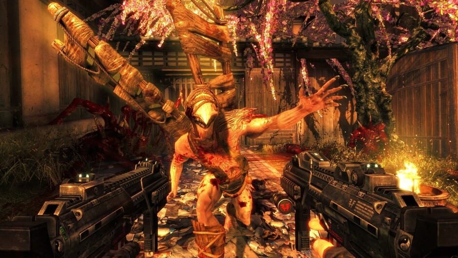Shadow Warrior screenshot 2