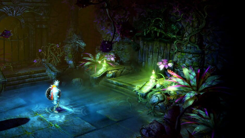Trine 2 screenshot 5