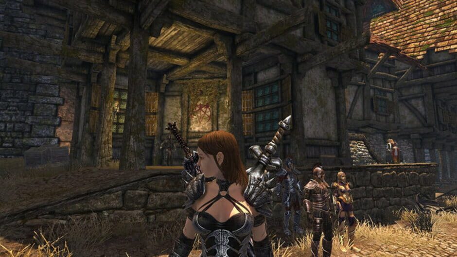 Divinity II: Developer's Cut screenshot 6