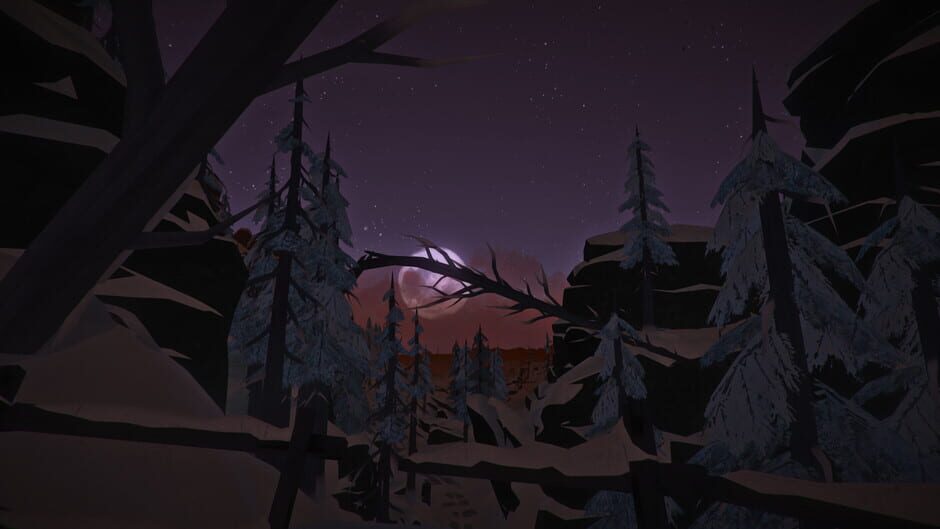 The Long Dark screenshot 5