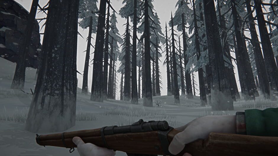 The Long Dark screenshot 6