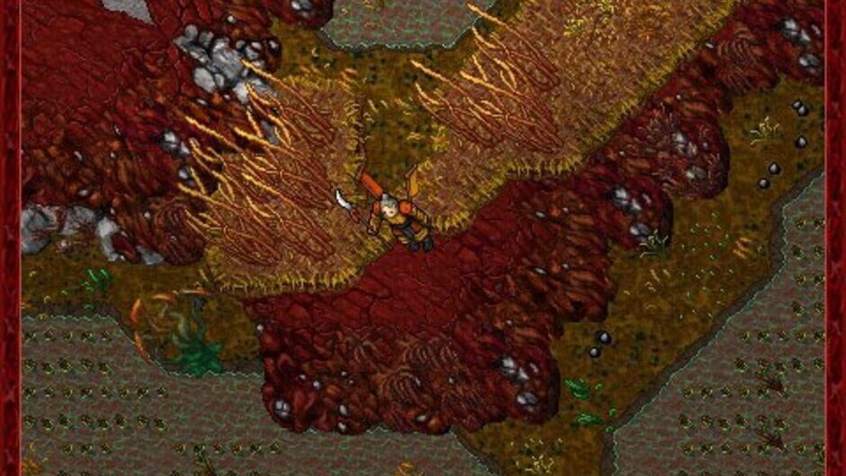 Tibia screenshot 2