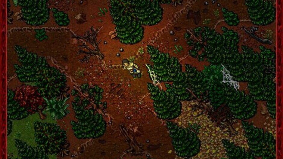 Tibia screenshot 5
