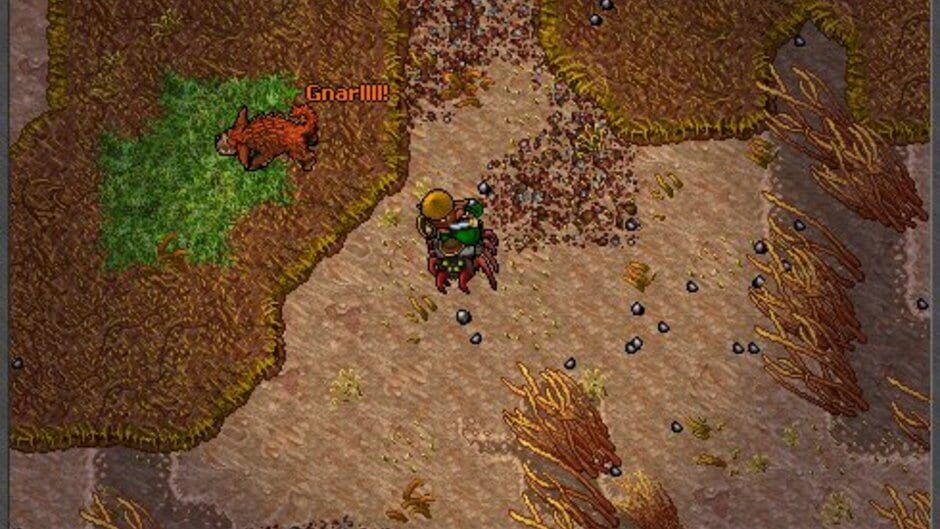 Tibia screenshot 6