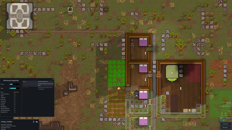 RimWorld screenshot 3